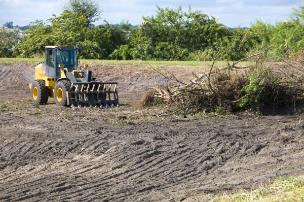Santa Rosa Land Clearing