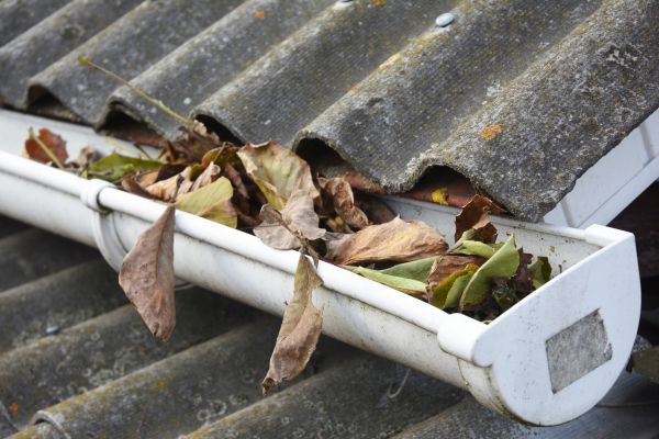 Santa Rosa Gutter Cleaning