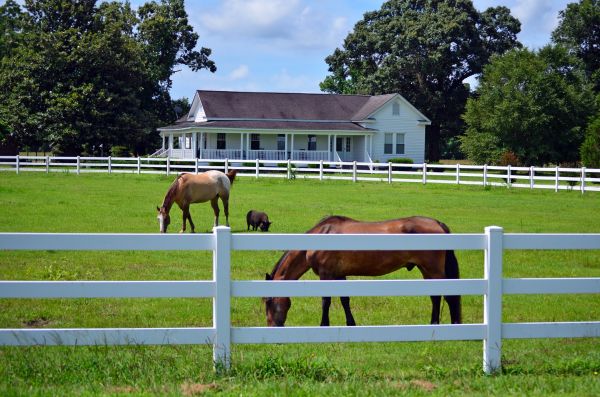 Santa Rosa Fence Service